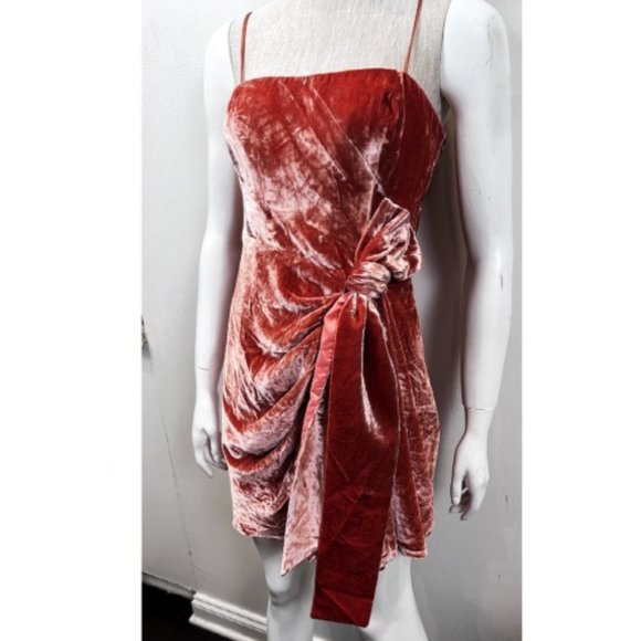 cinq a sept Dresses & Skirts - $425 BNWT CINQ A SEPT VELVET MINI  DRESS 8
